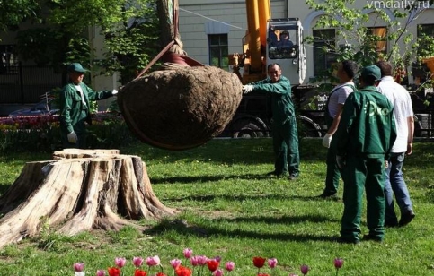 Фото с сайта vmdaily.ru